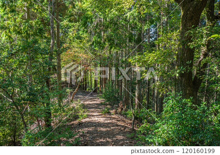 Autumn scenery of Amagase Forest Park, Uji City, Kyoto Prefecture Autumn scenery of Amagase Forest Park, Uji City, Kyoto Prefecture 120160199