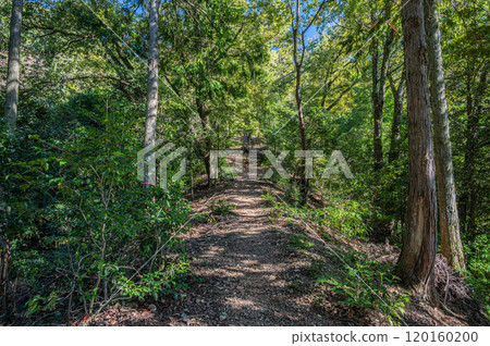 京都府宇治市天瀨森林公園的秋景 京都府宇治市天瀨森林公園的秋景 120160200
