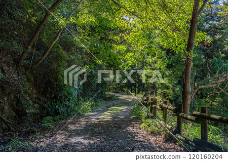 Autumn scenery of Amagase Forest Park, Uji City, Kyoto Prefecture Autumn scenery of Amagase Forest Park, Uji City, Kyoto Prefecture 120160204