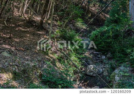 Autumn scenery of Amagase Forest Park, Uji City, Kyoto Prefecture Autumn scenery of Amagase Forest Park, Uji City, Kyoto Prefecture 120160209