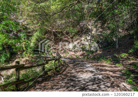 Autumn scenery of Amagase Forest Park, Uji City, Kyoto Prefecture Autumn scenery of Amagase Forest Park, Uji City, Kyoto Prefecture 120160217