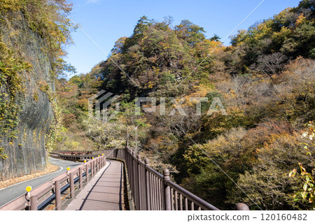 Autumn in Agatsuma Gorge, Gunma Prefecture Autumn in Agatsuma Gorge, Gunma Prefecture 120160482