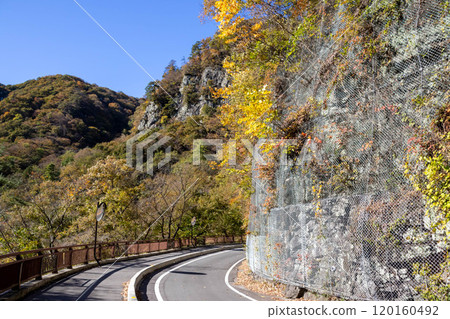 東峽谷的秋天，群馬縣東峽谷 120160492