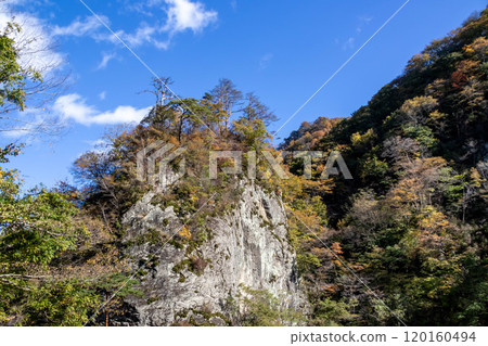 Autumn in Agatsuma Gorge, Gunma Prefecture Autumn in Agatsuma Gorge, Gunma Prefecture 120160494