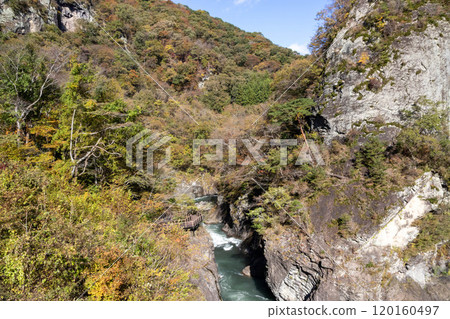 Autumn in Agatsuma Gorge, Gunma Prefecture 120160497