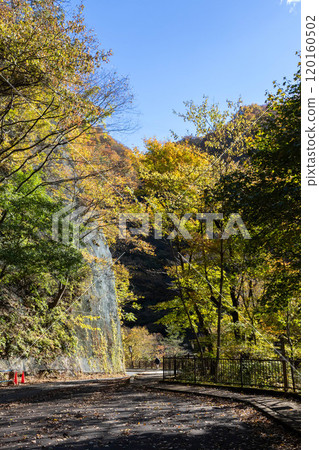 Autumn in Agatsuma Gorge, Gunma Prefecture Autumn in Agatsuma Gorge, Gunma Prefecture 120160502