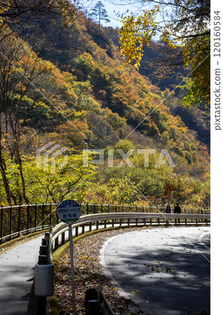 東峽谷的秋天，群馬縣東峽谷 120160584