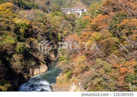 東峽谷的秋天，群馬縣東峽谷 120160585