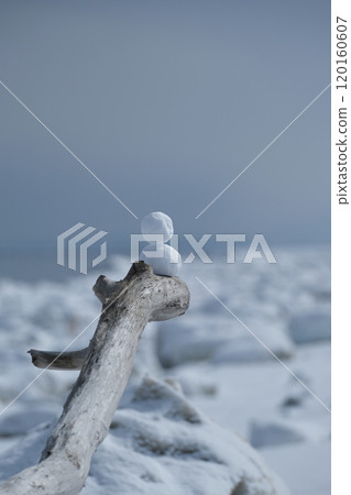 浮木上堆了一個小雪人。以流冰為背景。 浮木上堆了一個小雪人。以流冰為背景。 120160607