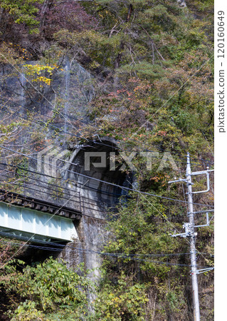 群馬縣樽澤隧道秋天的吾妻溪谷 120160649