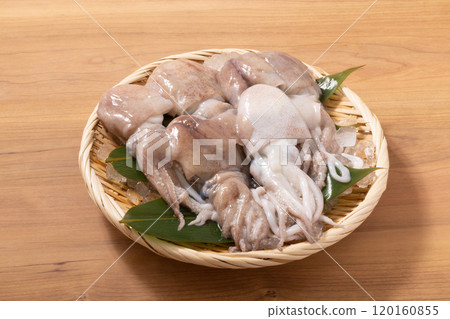 [Yamagata Prefecture, Shonai] Squid 120160855