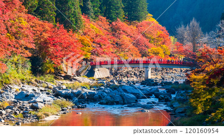 Korankei (Autumn) 120160954