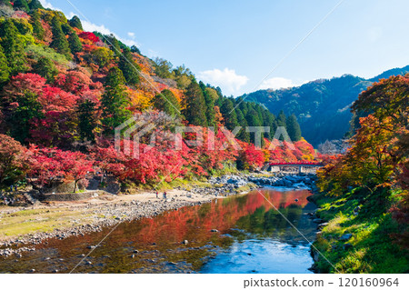 Korankei (Autumn) Korankei (Autumn) 120160964