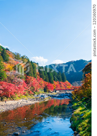 Korankei (Autumn) 120160970