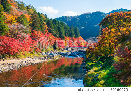Korankei (Autumn) 120160973