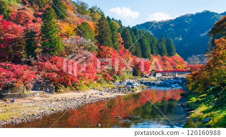 Korankei (Autumn) 120160988