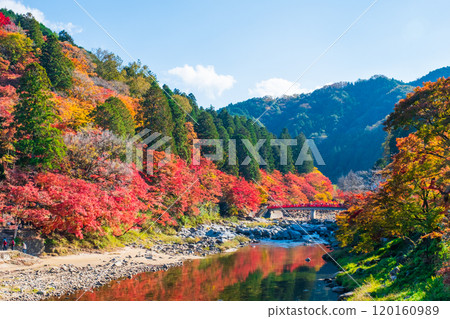 Korankei (Autumn) 120160989