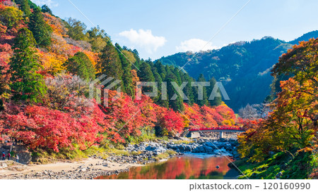 Korankei (Autumn) 120160990