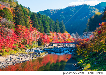 Korankei (Autumn) 120160991