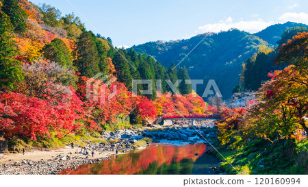 Korankei (Autumn) 120160994