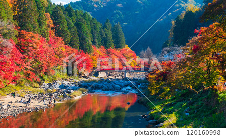 Korankei (Autumn) 120160998