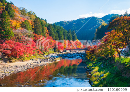 香蘭溪（秋季） 120160999