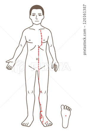 Acupuncture points, foot Shaoyin Kidney meridian, acupressure points illustration 120161387