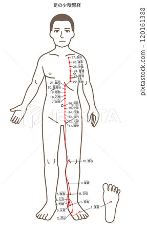 Acupuncture points, foot Shaoyin Kidney meridian, acupressure points illustration 120161388