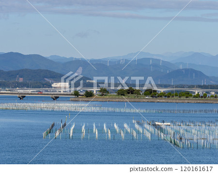 成堆的牡蠣養殖架排列的濱名湖風景 成堆的牡蠣養殖架排列的濱名湖風景 120161617