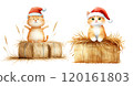 Two adorable orange cats wearing Santa hats sit atop hay bales, embodying a festive holiday spirit. 120161803