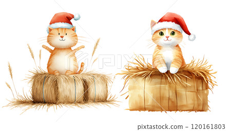 Two adorable orange cats wearing Santa hats sit atop hay bales, embodying a festive holiday spirit. 120161803