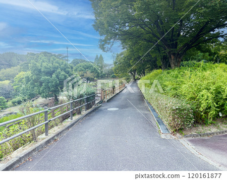 愛知縣豐田市的城市綠色植物園西山公園 120161877
