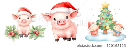 Three cheerful pigs wearing Santa hats, surrounded by festive decorations, including a Christmas tree and holly. 120162113