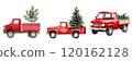 Three vintage red trucks carry Christmas trees, showcasing holiday spirit and nostalgia. 120162128