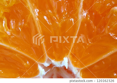 Mandarin oranges cut in half 120162326