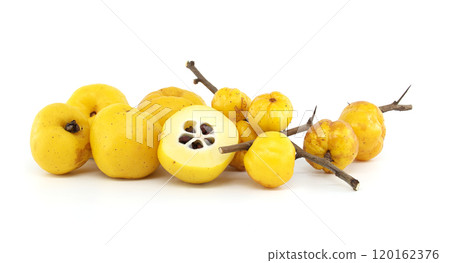 Japanese quince fruit in vibrant yellow, featuring whole and halved views isolated on white Japanese quince fruit in vibrant yellow, featuring whole and halved views isolated on white 120162376