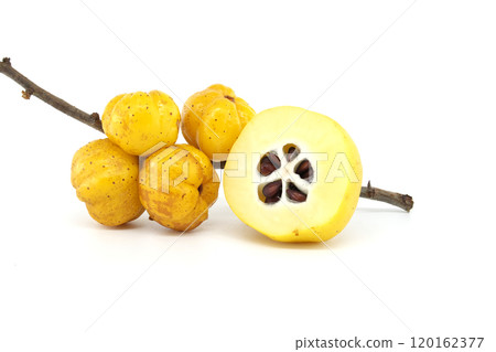 Japanese quince fruit in vibrant yellow, featuring whole and halved views Japanese quince fruit in vibrant yellow, featuring whole and halved views 120162377