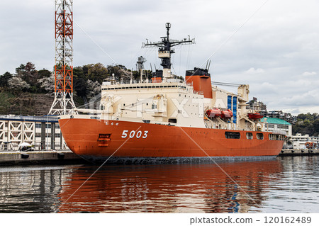 The Japan Maritime Self-Defense Force icebreaker Shirase arrives at Yokosuka Base and is anchored there. 120162489