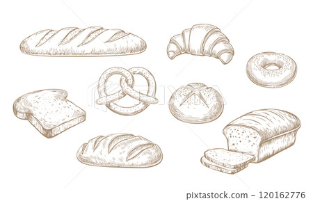 各種麵包的插圖 120162776