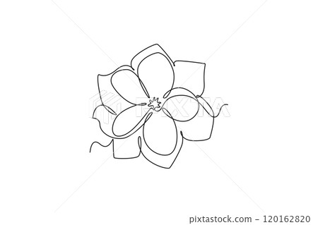 beauty fresh deciduous jasmine flower. Printable poster decorative jasminum concept for home wall decor art. 120162820
