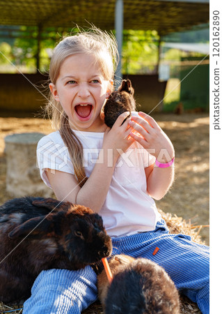 Young girl holds a small rabbit while sitting among playful bunnies at a farm during a sunny afternoon 120162890