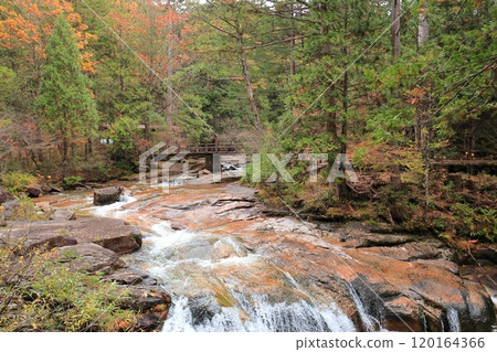 Akazawa Natural Recreation Forest Akazawa Natural Recreation Forest 120164366