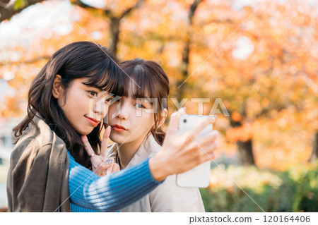 Two women taking pictures with their smartphones against the backdrop of autumn leaves 120164406