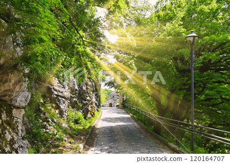 森林中的莫薩梅塔修道院方法 森林中的莫薩梅塔修道院方法 120164707