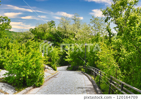 Path to Motsameta Monastery in the forest Path to Motsameta Monastery in the forest 120164709