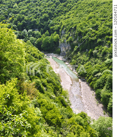 A clear stream flowing through the forest A clear stream flowing through the forest 120164711