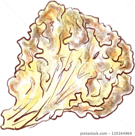 天婦羅的插畫_舞茸天婦羅_舞茸天婦羅 天婦羅的插畫_舞茸天婦羅_舞茸天婦羅 120164964