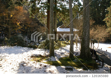 A Japanese garden with fresh snow / A Japanese garden with moss covered in snow 120165080