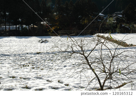 Japanese landscape with snow / Japanese Satoyama landscape - Fields covered in snow Japanese landscape with snow / Japanese Satoyama landscape - Fields covered in snow 120165312