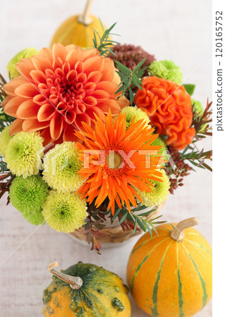 Autumn flower arrangement 120165752